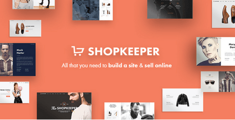 wordpress best theme for online shop store