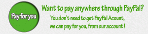 want-to-pay-through-paypal-anywhere